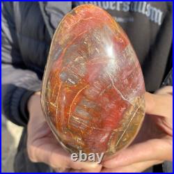 1.7lb Rare Natural petrified wood rough Wood fossil mineral specimen healing 1.7lb Rare Natural petrified wood rough Wood fossil mineral specimen healing