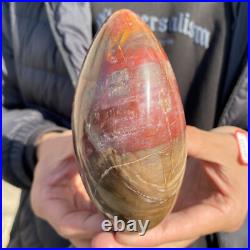 1.7lb Rare Natural petrified wood rough Wood fossil mineral specimen healing 1.7lb Rare Natural petrified wood rough Wood fossil mineral specimen healing