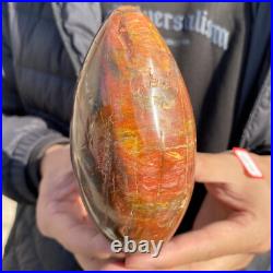 1.7lb Rare Natural petrified wood rough Wood fossil mineral specimen healing 1.7lb Rare Natural petrified wood rough Wood fossil mineral specimen healing