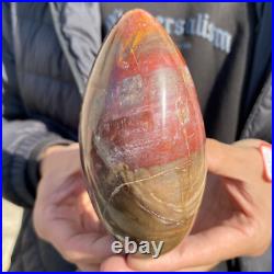 1.7lb Rare Natural petrified wood rough Wood fossil mineral specimen healing 1.7lb Rare Natural petrified wood rough Wood fossil mineral specimen healing