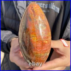 1.7lb Rare Natural petrified wood rough Wood fossil mineral specimen healing 1.7lb Rare Natural petrified wood rough Wood fossil mineral specimen healing