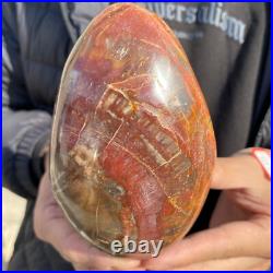 1.7lb Rare Natural petrified wood rough Wood fossil mineral specimen healing 1.7lb Rare Natural petrified wood rough Wood fossil mineral specimen healing