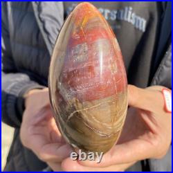 1.7lb Rare Natural petrified wood rough Wood fossil mineral specimen healing 1.7lb Rare Natural petrified wood rough Wood fossil mineral specimen healing