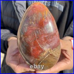1.7lb Rare Natural petrified wood rough Wood fossil mineral specimen healing 1.7lb Rare Natural petrified wood rough Wood fossil mineral specimen healing