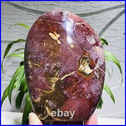 1.9lb Large Natural Petrified Wood Fossil Crystal Geode Specimens Stone Healing