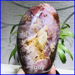 1.9lb Large Natural Petrified Wood Fossil Crystal Geode Specimens Stone Healing