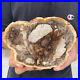 1_9lb_Rare_Natural_petrified_wood_rough_Wood_fossil_mineral_specimen_healing_01_aa