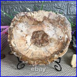 2070g Natural Petrified Wood Fossil Crystal Polished Slice Specimen gg9194