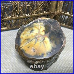 2080g Beautiful Polished Petrified Wood Crystal Slice Madagascar 01