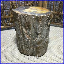 2080g Beautiful Polished Petrified Wood Crystal Slice Madagascar 01