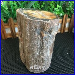 2080g Beautiful Polished Petrified Wood Fossil Crystal Slice Madagascar ms721