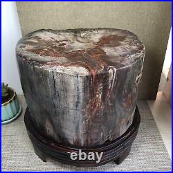 20.12kg Rare Natural Petrified Wood Crystal Polish/Rough Slice Madagascar A1144