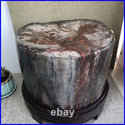 20.12kg Rare Natural Petrified Wood Crystal Polish/Rough Slice Madagascar A1144