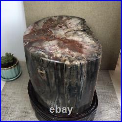 20.12kg Rare Natural Petrified Wood Crystal Polish/Rough Slice Madagascar A1144