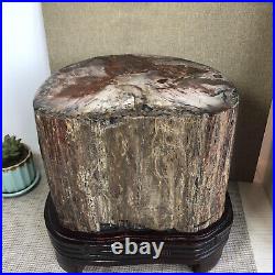 20.12kg Rare Natural Petrified Wood Crystal Polish/Rough Slice Madagascar A1144