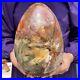 20_28LB_Large_Amazing_Natural_Petrified_Wood_Fossil_Stone_Egg_Crystal_Healing_01_cx