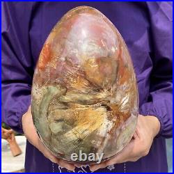 20.28LB Large Amazing Natural Petrified Wood Fossil Stone Egg Crystal Healing