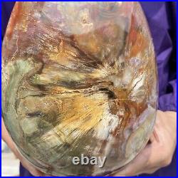 20.28LB Large Amazing Natural Petrified Wood Fossil Stone Egg Crystal Healing