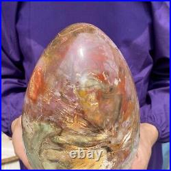 20.28LB Large Amazing Natural Petrified Wood Fossil Stone Egg Crystal Healing