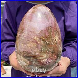 20.28LB Large Amazing Natural Petrified Wood Fossil Stone Egg Crystal Healing