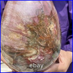 20.28LB Large Amazing Natural Petrified Wood Fossil Stone Egg Crystal Healing