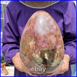 20.28LB Large Amazing Natural Petrified Wood Fossil Stone Egg Crystal Healing