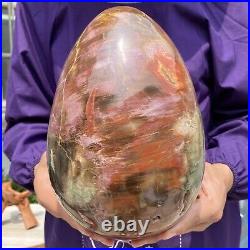 20.28LB Large Amazing Natural Petrified Wood Fossil Stone Egg Crystal Healing