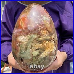 20.28LB Large Amazing Natural Petrified Wood Fossil Stone Egg Crystal Healing