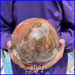 20.28LB Large Amazing Natural Petrified Wood Fossil Stone Egg Crystal Healing