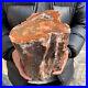20_3lb_Rare_Natural_petrified_wood_rough_Wood_fossil_mineral_specimen_healing_01_mkfi