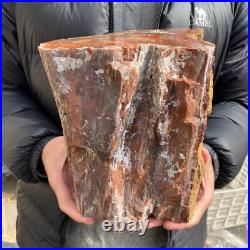 20.3lb Rare Natural petrified wood rough Wood fossil mineral specimen healing