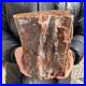 20_3lb_Rare_Natural_petrified_wood_rough_Wood_fossil_mineral_specimen_healing_01_wrp