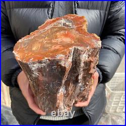 20.3lb Rare Natural petrified wood rough Wood fossil mineral specimen healing