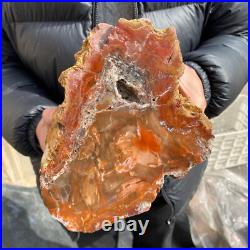20.3lb Rare Natural petrified wood rough Wood fossil mineral specimen healing