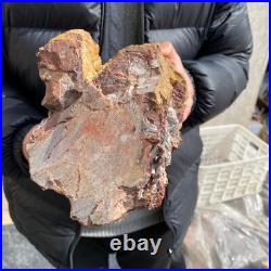 20.3lb Rare Natural petrified wood rough Wood fossil mineral specimen healing