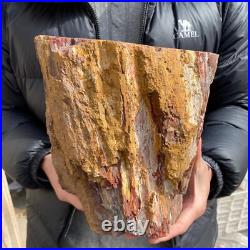 20.3lb Rare Natural petrified wood rough Wood fossil mineral specimen healing 20.3lb Rare Natural petrified wood rough Wood fossil mineral specimen healing