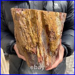 20.3lb Rare Natural petrified wood rough Wood fossil mineral specimen healing