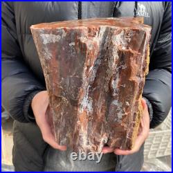 20.3lb Rare Natural petrified wood rough Wood fossil mineral specimen healing 20.3lb Rare Natural petrified wood rough Wood fossil mineral specimen healing