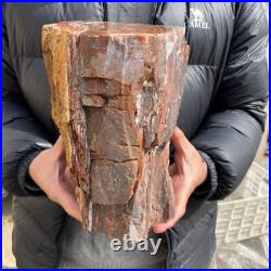 20.3lb Rare Natural petrified wood rough Wood fossil mineral specimen healing