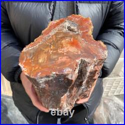 20.3lb Rare Natural petrified wood rough Wood fossil mineral specimen healing