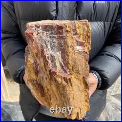 20.3lb Rare Natural petrified wood rough Wood fossil mineral specimen healing 20.3lb Rare Natural petrified wood rough Wood fossil mineral specimen healing