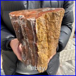 20.3lb Rare Natural petrified wood rough Wood fossil mineral specimen healing 20.3lb Rare Natural petrified wood rough Wood fossil mineral specimen healing