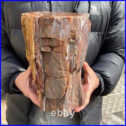 20.3lb Rare Natural petrified wood rough Wood fossil mineral specimen healing