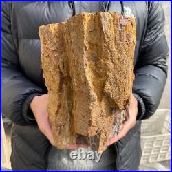 20.3lb Rare Natural petrified wood rough Wood fossil mineral specimen healing