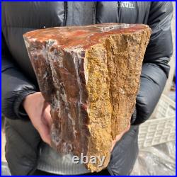 20.3lb Rare Natural petrified wood rough Wood fossil mineral specimen healing