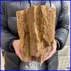 20.3lb Rare Natural petrified wood rough Wood fossil mineral specimen healing 20.3lb Rare Natural petrified wood rough Wood fossil mineral specimen healing