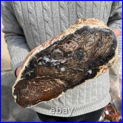 20.4lb Rare Natural petrified wood rough Wood fossil mineral specimen healing 20.4lb Rare Natural petrified wood rough Wood fossil mineral specimen healing