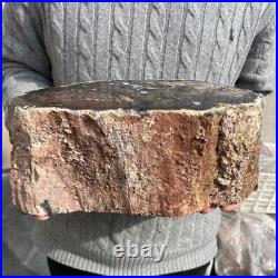 20.4lb Rare Natural petrified wood rough Wood fossil mineral specimen healing 20.4lb Rare Natural petrified wood rough Wood fossil mineral specimen healing