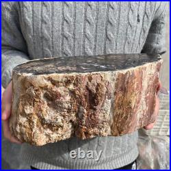 20.4lb Rare Natural petrified wood rough Wood fossil mineral specimen healing 20.4lb Rare Natural petrified wood rough Wood fossil mineral specimen healing