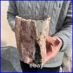 20.4lb Rare Natural petrified wood rough Wood fossil mineral specimen healing 20.4lb Rare Natural petrified wood rough Wood fossil mineral specimen healing